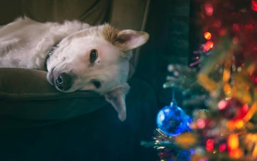 Christmas 2